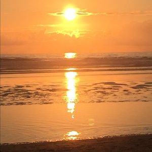 Meet your Posher, Sigal